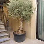 Loft D'artiste Atypique, Climatise,90 M2 , Hypercentre Arenes 6 Pers Nimes