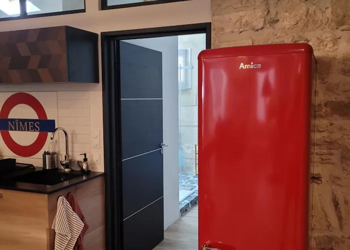Διαμέρισμα L'atypique Des Arenes, Loft D'artiste Νιμ